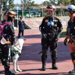 専門コラム「指揮官の決断」　No.042　災害救助犬