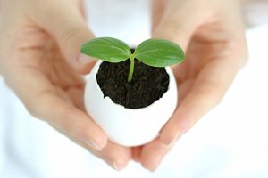 既成概念を破って、新たなセールスファネルを構築する